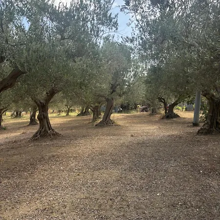 Il Gelso Bianco فيلة Scerni