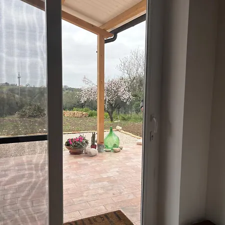 Il Gelso Bianco *