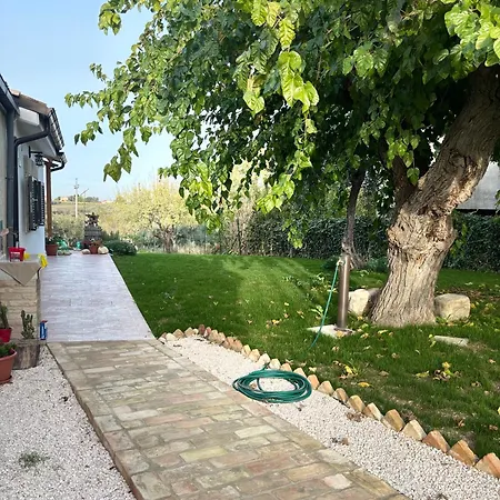 Il Gelso Bianco *
